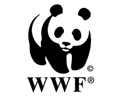 WWF WWF